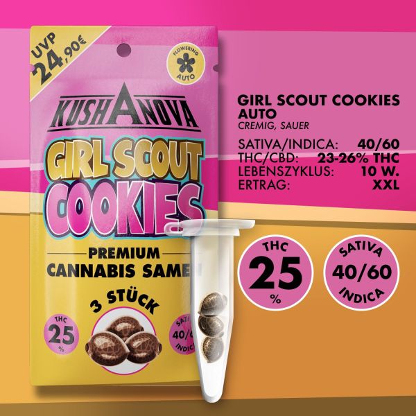 Kushanova Cannabissamen - Girl Scout Cookies