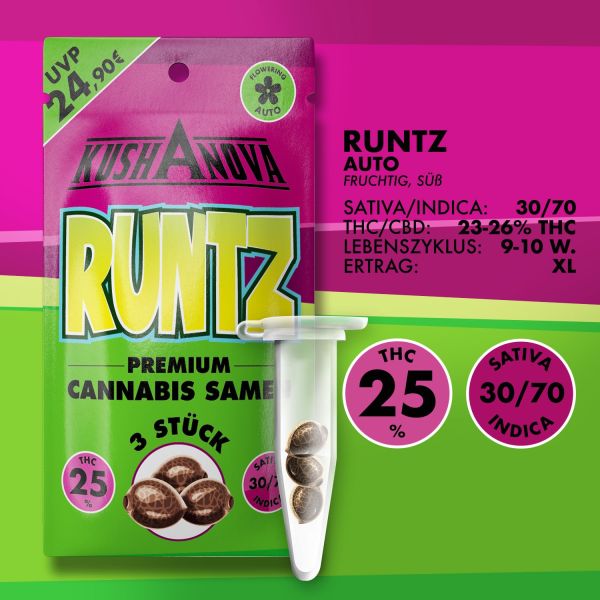 Kushanova Cannabissamen - Runtz