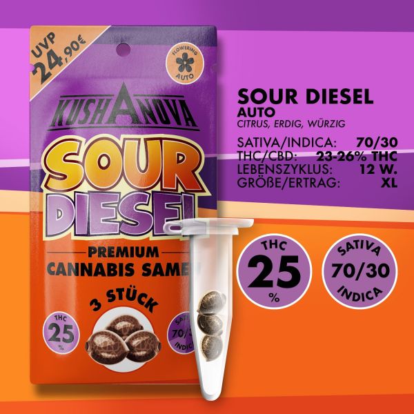 Kushanova Cannabissamen - Sour Diesel