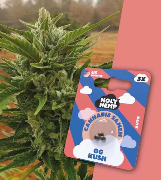Holy Hemp - OG Kush - Cali Seeds