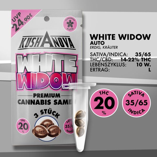 Kushanova Cannabissamen - White Widow