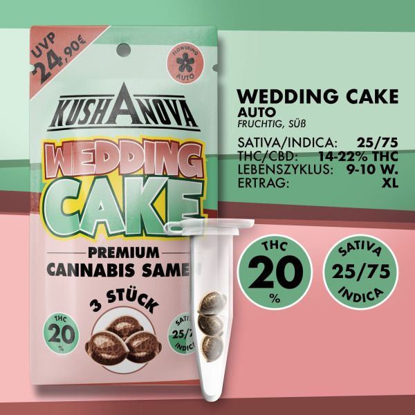 Kushanova Cannabissamen - Wedding Cake