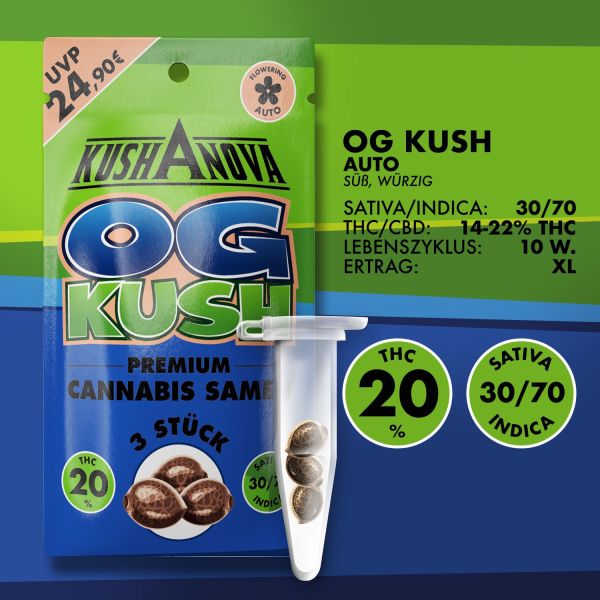 Kushanova Cannabissamen - OG Kush