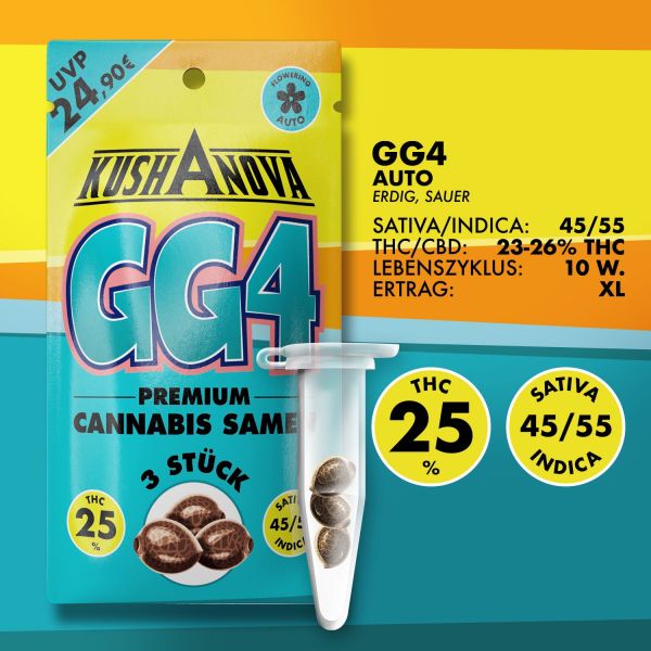 Kushanova Cannabissamen - GG4