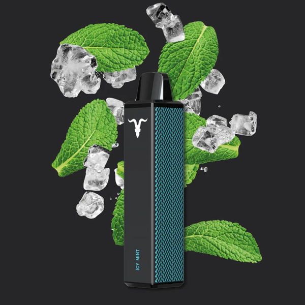 Ignite Vape V600 - Icy Mint - 20mg