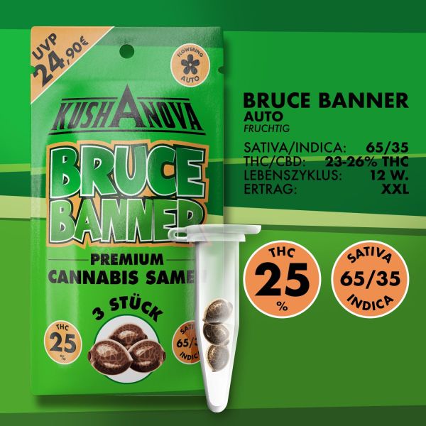 Kushanova Cannabissamen - Bruce Banner