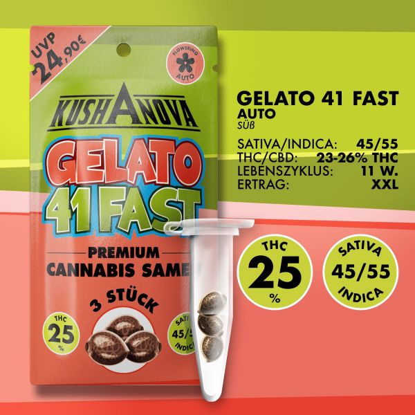 Kushanova Cannabissamen - Gelato 41 Fast