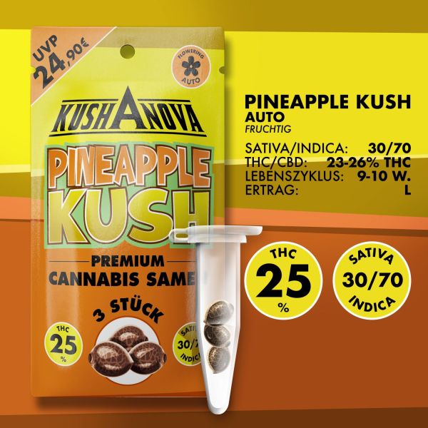 Kushanova Cannabissamen - Pineapple Kush